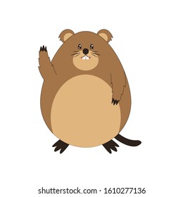 Cute Groundhog illustration, happy groundhog day