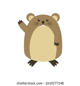 Cute Groundhog illustration, happy groundhog day