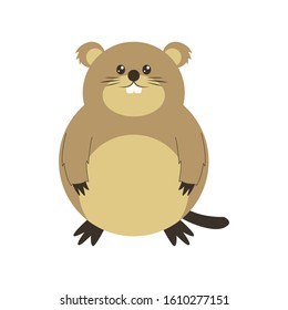 Cute Groundhog illustration, happy groundhog day