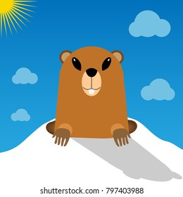 Cute groundhog popping up from his burrow. Sun and cloud. Happy Groundhog Day