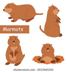 Cute groundhog. Rodents. Set of characters. Vector illustration of a groundhog. For your design.