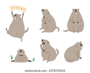 Cute groundhogs vector illustration set. Wild mammal living in the ground isolated on white background. Funny positive furry marmot with big front teeth, woodchuck animal enjoying spring