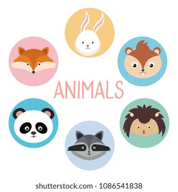 cute group of animals heads characters