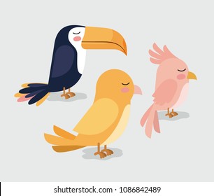 cute group birds animals