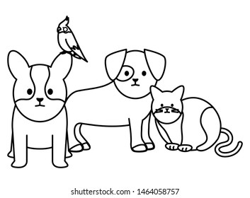 cute group of mascots adorables characters