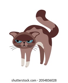 Cute grumpy cat. Angry cat cartoon vector Illustration.