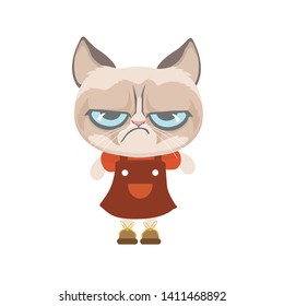 Cute grumpy cat in costume.