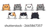 Cute grumpy cat peeking over a ledge collection, vector illustration