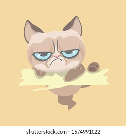 Cute grumpy cat. Vector Illustration.