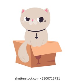 Cute Grumpy Cat with White Coat and Collar Sitting on Cardboard Box Vector Illustration