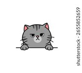 Cute grumpy gray tabby cat peeking over a ledge, vector illustration