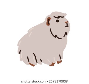 Cute guinea pig. Adorable fluffy rodent with shaggy coat. Furry hairy cuddly pet, tame cavy. Tiny small little companion animal. Flat graphic vector illustration isolated on white background