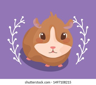 cute guinea pig baby animal