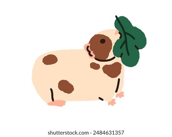 Cute guinea pig eating leaf, feeding. Cavy animal with green food in mouth. Funny rodent. Kawaii adorable lovely hamster. Happy little pet. Flat vector illustration isolated on white background