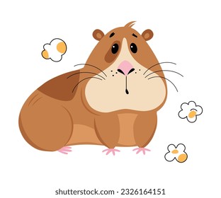 Cute guinea pig eating popcorn. Funny brown pet rodent cartoon vector illustration