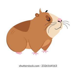 Cute guinea pig. Funny brown pet rodent cartoon vector illustration