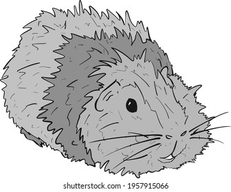 Cute Guinea Pig or Guineapig Pet Cartoon Illustration in Vector