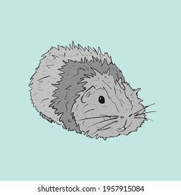 Cute Guinea Pig or Guineapig Pet Cartoon Illustration in Vector