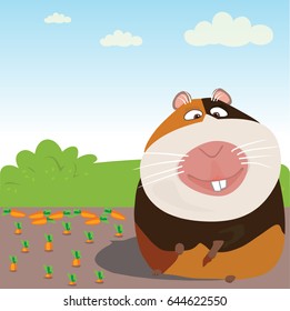 cute guinea pig, happy pets