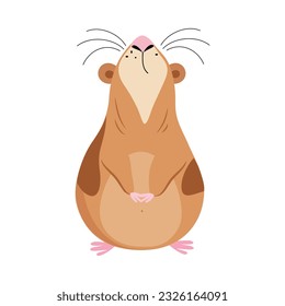 Cute guinea pig looking up. Funny brown pet rodent cartoon vector illustration