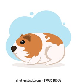 Cute Guinea Pig on white background. Smiling cute animal. Cartoon illustration with little pet can be used for paper, cover, cards, posters, banners, clothing design and other users.