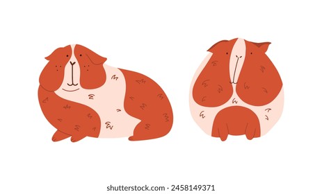 Lindo conejillo de indias sobre fondo blanco. Animales domésticos divertidos. Ilustración vectorial