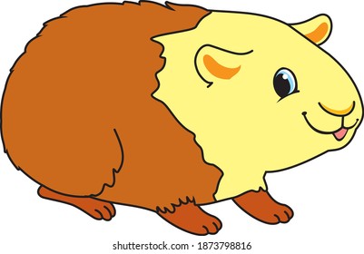 cute guinea pig, pet, vector illustration, for children, cartoon, funny