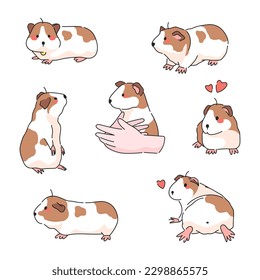 Cute Guinea Pig Poses Cartoon Vector Illustration.