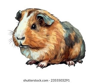 Cute guinea pig sitting on white background icon isolated