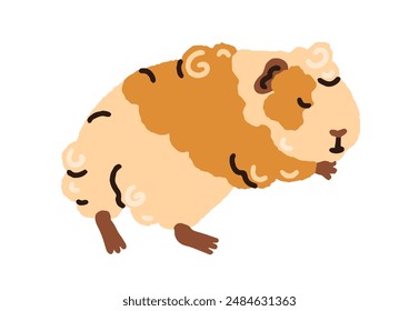 Cute guinea pig sleeping, dreaming. Kawaii cavy animal asleep, lying, napping, reposing. Lovely sweet quiet peaceful tame rodent pet. Flat graphic vector illustration isolated on white background