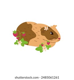 cute guinea pig and strawberry on white background, beautiful rodent with flower on head, vector illustration