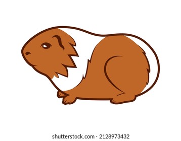 Cute Meerschweinchen mit zwei Farben Symbol Vektorgrafik. Adorable weißbraune Perlmuttwein, Vektorsymbol einzeln auf weißem Hintergrund. Favoritenklammer