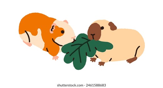 Cute guinea pigs. Cavy animals couple, funny rodents eating leaf food. Kawaii adorable lovely characters. Happy pets feeding together. Flat graphic vector illustration isolated on white background