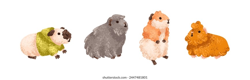 Cute guinea pigs set. Adorable funny fluffy rodent pets. Sweet amusing little cavies, baby animals. Kawaii lovely comic charming mammals. Flat vector illustration isolated on white background