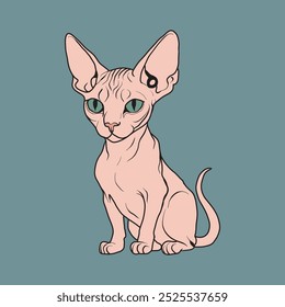 A cute, hairless Sphynx kitten with large, green eyes sits upright on a blue background