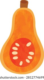 Cute Half Butternut Squash Illustration Autumn Vegetable Clipart