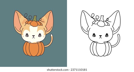 Cute Halloween Abyssinian Cat Illustration and For Coloring Page. Cartoon Clip Art Halloween Kitty. Cute Vector Illustration of a Kawaii Halloween Animal Inside a Pumpkin. 