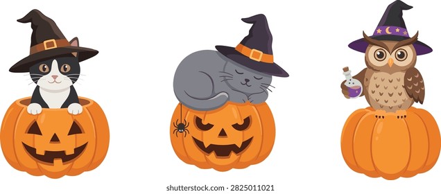 Cute Halloween animals set featuring cats and owl in witch hats on jack o lanterns isolated vector illustration clip art collection