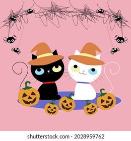 Cute Halloween background with black and white cat ,pumpkin , spider and spider web on sweet background. 
