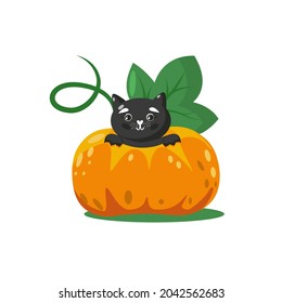 Cute Halloween black cat inside big pumpkin. Isolated vector illustration. Adorable animal character.