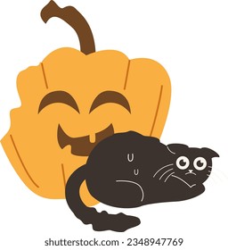 Cute Halloween Black Cat Witch Interaction Jack-o-lantern Facial Expressions Pumpkin Vector Illustration