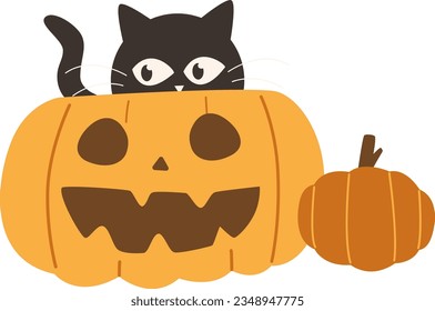 Cute Halloween Black Cat Witch Peeking in the Jack-o-lantern Facial Expressions Pumpkin Vector Illustration