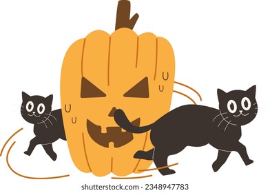 Cute Halloween Black Cat Witch Surround a Jack-o-lantern Facial Expressions Pumpkin Vector Illustration