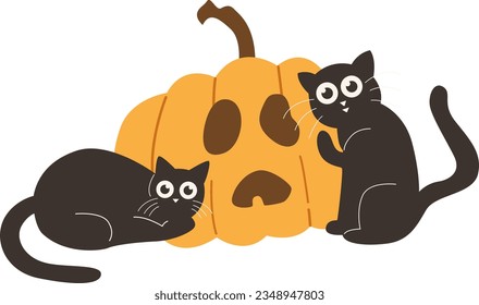 Cute Halloween Black Cat Witch Interaction Jack-o-lantern Facial Expressions Pumpkin Vector Illustration