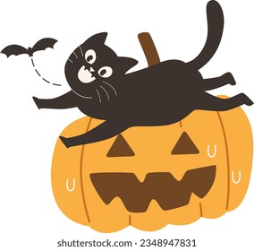 Cute Halloween Black Cat Witch Chasing a Bat Interaction on Jack-o-lantern Facial Expressions Pumpkin Vector Illustration