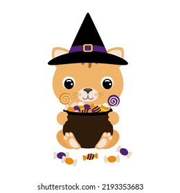 Cute Halloween cat in witch hat holding a pot with candies. Cartoon animal character for kids t-shirts, nursery decoration, baby shower, greeting card, invitation. Vector stock illustration