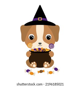 Cute Halloween dog in witch hat holding a pot with candies. Cartoon animal character for kids t-shirts, nursery decoration, baby shower, greeting card, invitation. Vector stock illustration