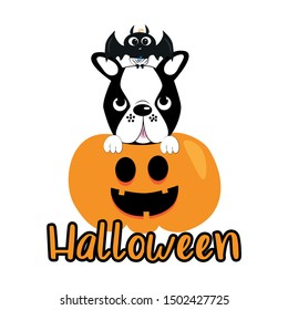 Cute halloween graphics illustration, bat, boston terrier and pumkin.