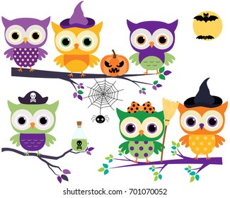 Cute Halloween owls in orange, purple and green colors on tree branches with broom, pumpkin and spider