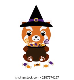 Cute Halloween red panda in witch hat holding a pot with candies. Cartoon animal character for kids t-shirts, nursery decoration, baby shower, greeting card, invitation. Vector stock illustration